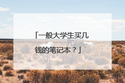 一般大学生买几钱的笔记本?