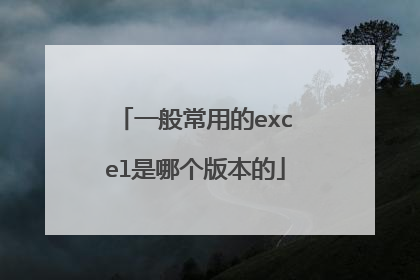 一般常用的excel是哪个版本的