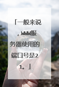 一般来说,WWW服务器使用的端口号是21。