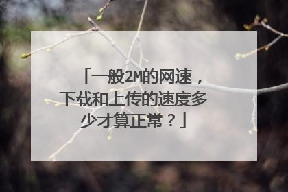 一般2M的网速,下载和上传的速度多少才算正常?