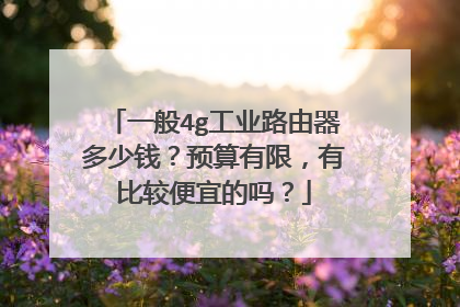 一般4g工业路由器多少钱?预算有限,有比较便宜的吗?