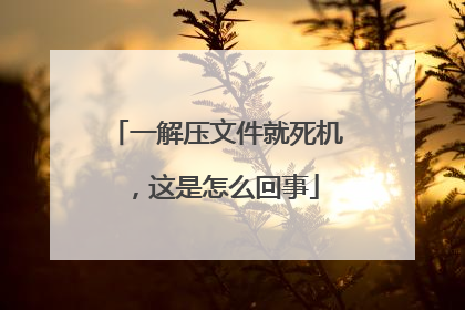 一解压文件就死机,这是怎么回事