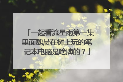 一起看流星雨第一集里面魏晨在树上玩的笔记本电脑是啥牌的?