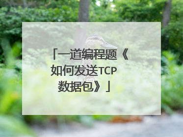 一道编程题《如何发送TCP数据包》