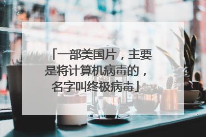 一部美国片，主要是将计算机病毒的，名字叫终极病毒