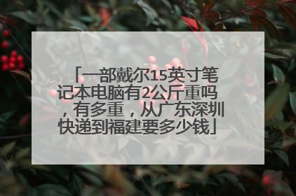 一部戴尔15英寸笔记本电脑有2公斤重吗，有多重，从广东深圳快递到福建要多少钱