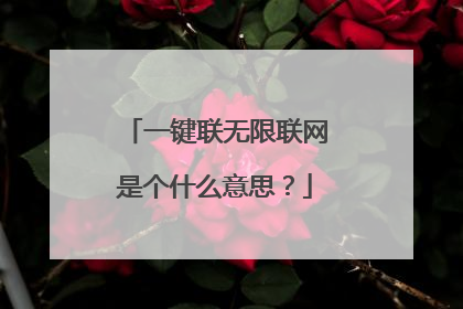 一键联无限联网是个什么意思？