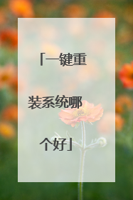 一键重装系统哪个好