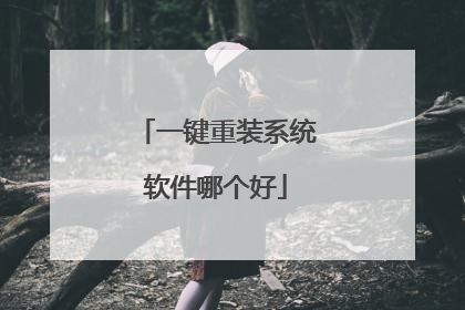 一键重装系统软件哪个好