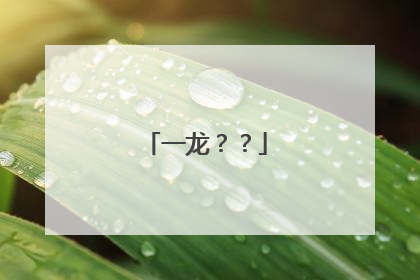 一龙??