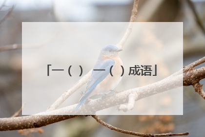 一() 一()成语