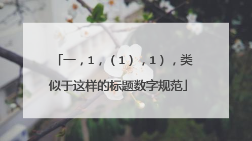 一，1，（1），1），类似于这样的标题数字规范