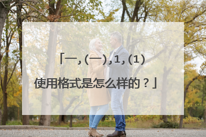 一,(一),1,(1)使用格式是怎么样的?