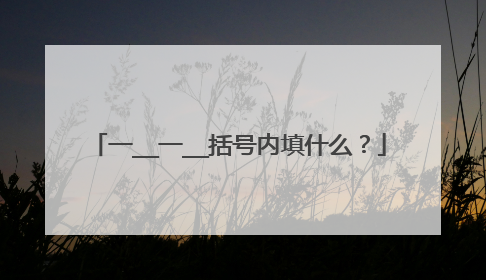 一__一__括号内填什么？