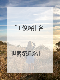 丁俊晖排名世界第几名