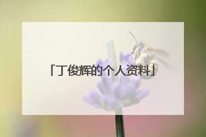 丁俊辉的个人资料