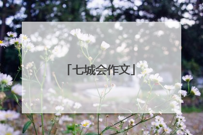 七城会作文