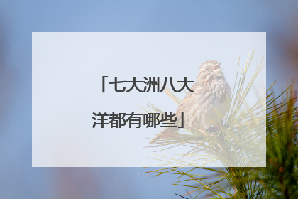 七大洲八大洋都有哪些
