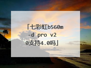 七彩虹b560m-d pro v20支持4.0吗