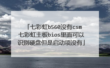 七彩虹b560没有csm七彩虹主板bios里面可以识别硬盘但是启动项没有