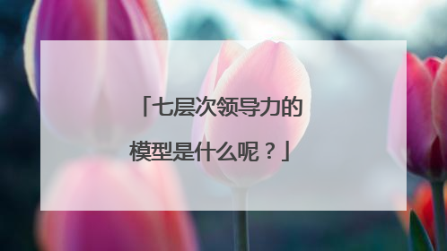 七层次领导力的模型是什么呢?