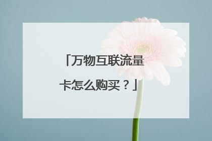 万物互联流量卡怎么购买?