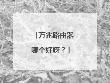 万兆路由器哪个好呀？