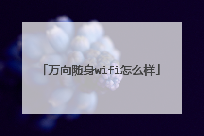 万向随身wifi怎么样