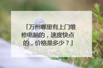 万州哪里有上门维修电脑的,速度快点的,价格是多少?