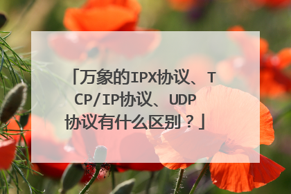 万象的IPX协议、TCP/IP协议、UDP协议有什么区别？