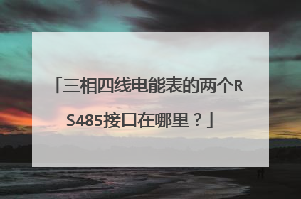三相四线电能表的两个RS485接口在哪里？