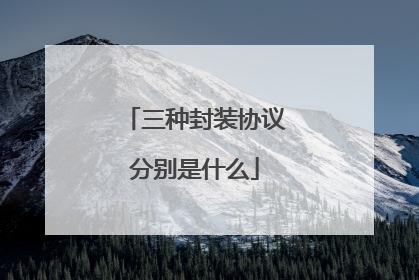 三种封装协议分别是什么