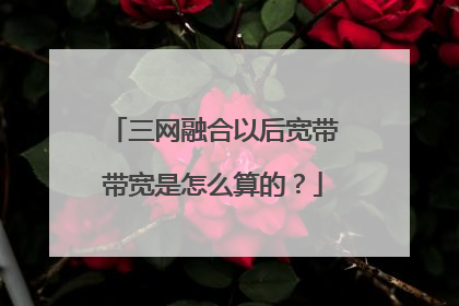 三网融合以后宽带带宽是怎么算的？