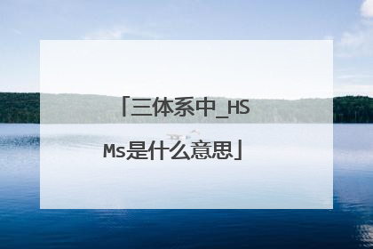 三体系中_HSMs是什么意思
