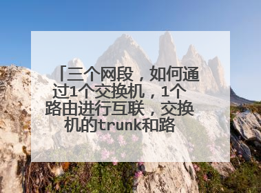 三个网段,如何通过1个交换机,1个路由进行互联,交换机的trunk和路由与交换机之间的接口如何设置