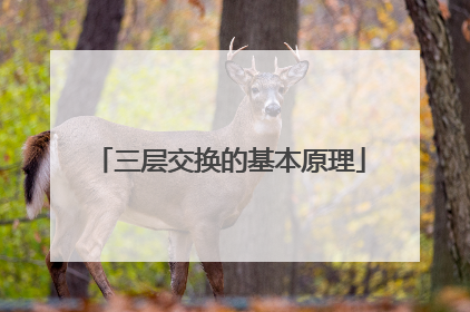 三层交换的基本原理