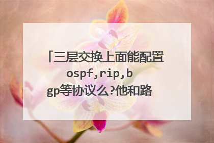 三层交换上面能配置ospf,rip,bgp等协议么?他和路由的区别是什么