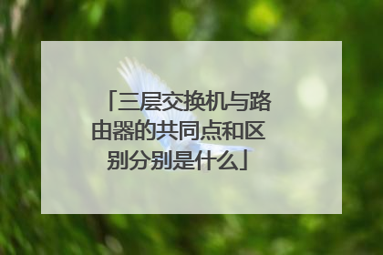 三层交换机与路由器的共同点和区别分别是什么
