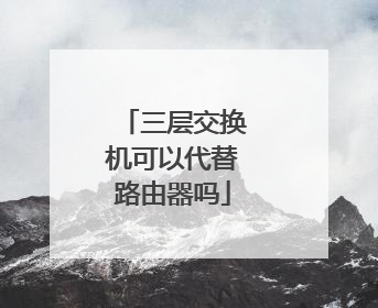 三层交换机可以代替路由器吗