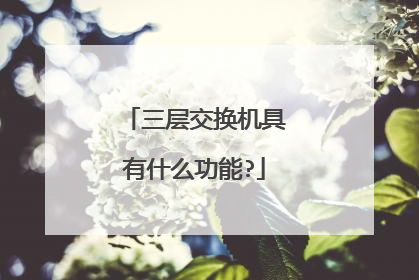 三层交换机具有什么功能?