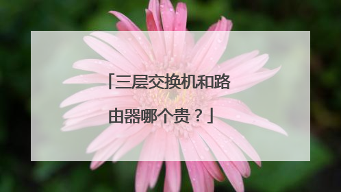 三层交换机和路由器哪个贵？
