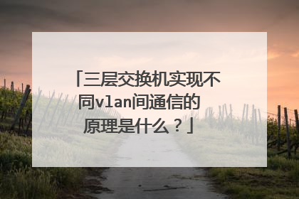 三层交换机实现不同vlan间通信的原理是什么?