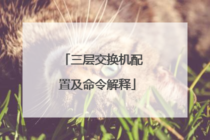 三层交换机配置及命令解释