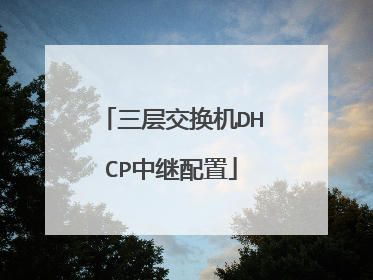 三层交换机DHCP中继配置