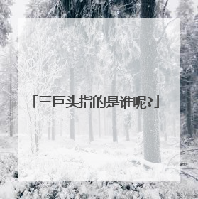 三巨头指的是谁呢?