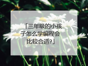 三年级的小孩子怎么学编程会比较合适?