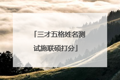 三才五格姓名测试施联硕打分