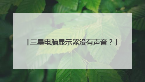三星电脑显示器没有声音?