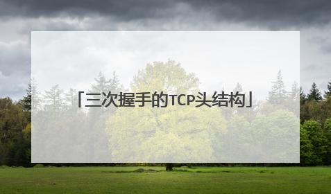 三次握手的TCP头结构