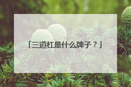 三道杠是什么牌子?